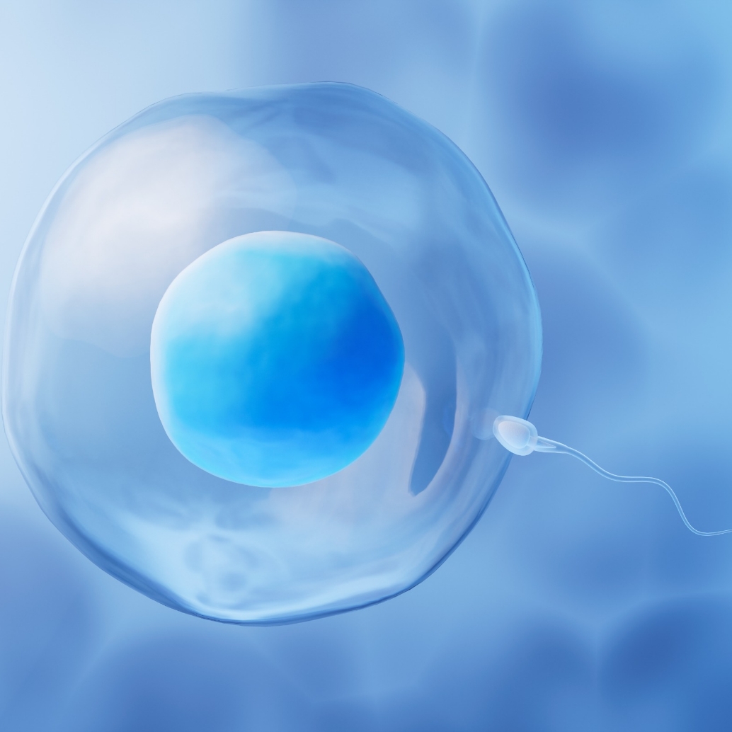 5 modi per aumentare la fertilità maschile