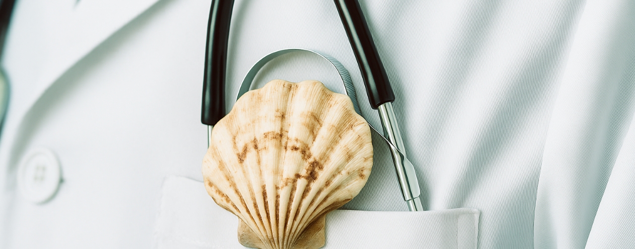 Consulta gli orari per il mese di Agosto