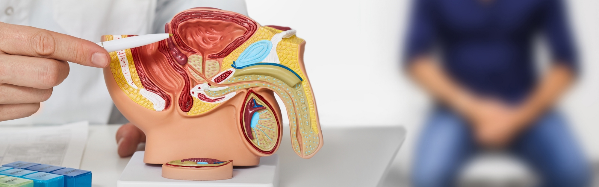 Chirurgia Urologica