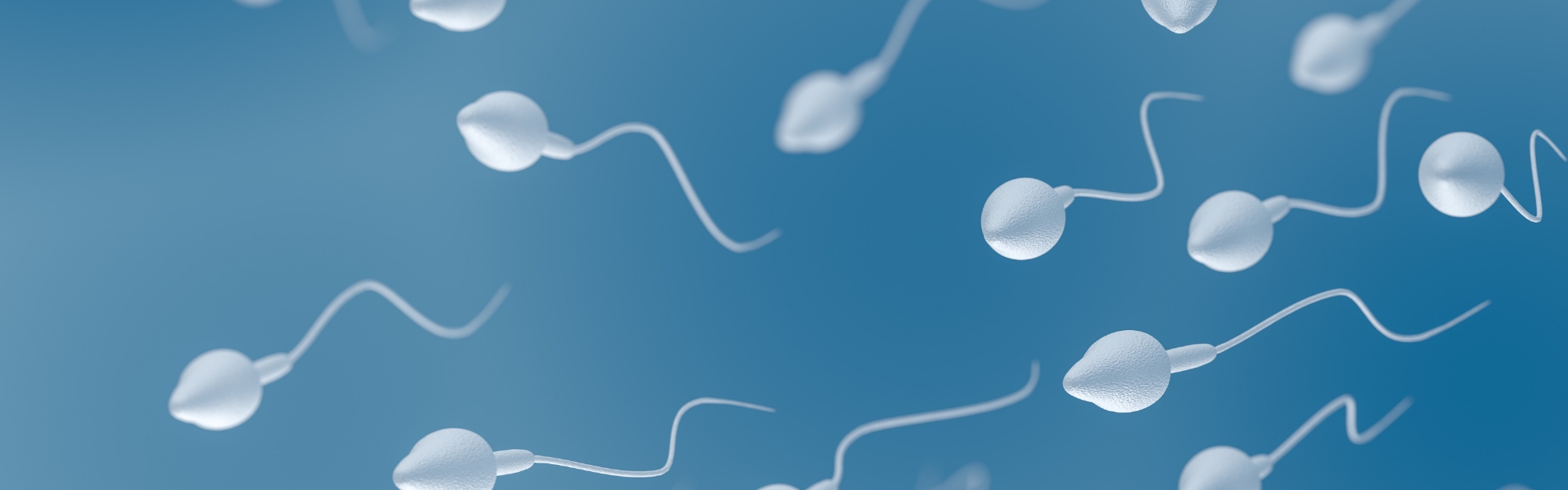 Capacitazione del liquido seminale